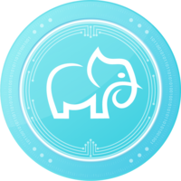 BAMA�۸��������