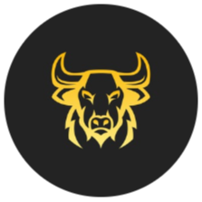 NANDI�۸��������