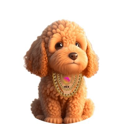 RICHAI�۸��������