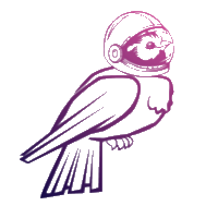 ABZ�۸��������