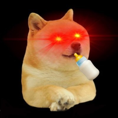 BABYEVERDOGE�۸��������