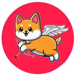 FLOV�۸��������