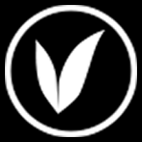 VSC����ֵ�罻�����۸��������