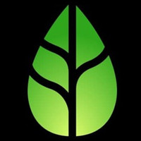 VAIN�۸��������