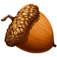 OAK�۸��������