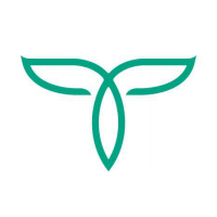 TEA���������۸��������