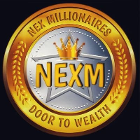 NEXMS�۸��������