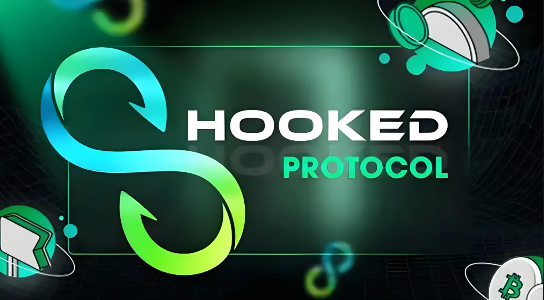 HOOKͶָϣǱշ