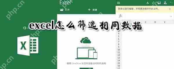excelͬôɸѡͬɸѡ̷
