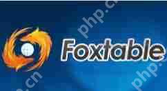 FoxtableĿôĿԲʽһ