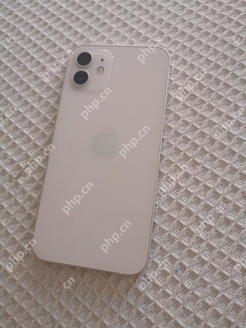 iOS豸ԽװӦõİȫָ