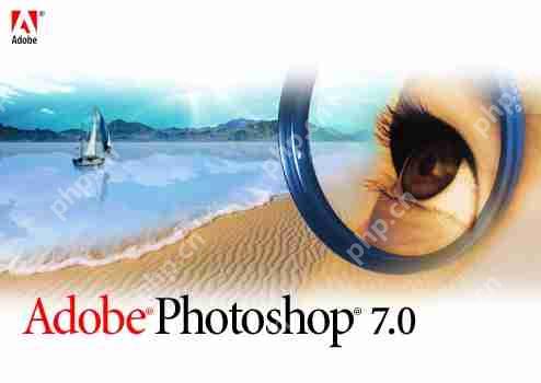 photoshop7.0ôƴͼphotoshop7.0ϲͼƬķ