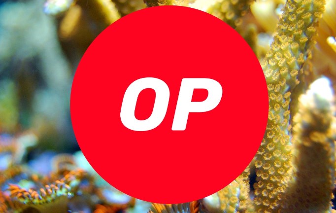 OPǰֹ辯ս