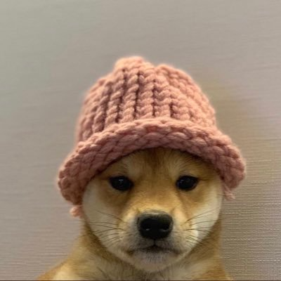 WIF价格今日行情_wishdown.com WIF价格今日行情_wishdown.com