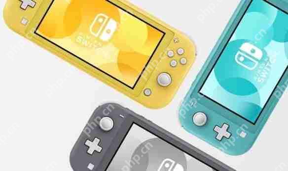 Switch Liteʵ ̸ֱƯ
