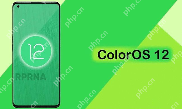 COlorOS12ʲôʱ