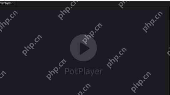 PotPlayerôöʱػ-PotPlayeröʱػķ