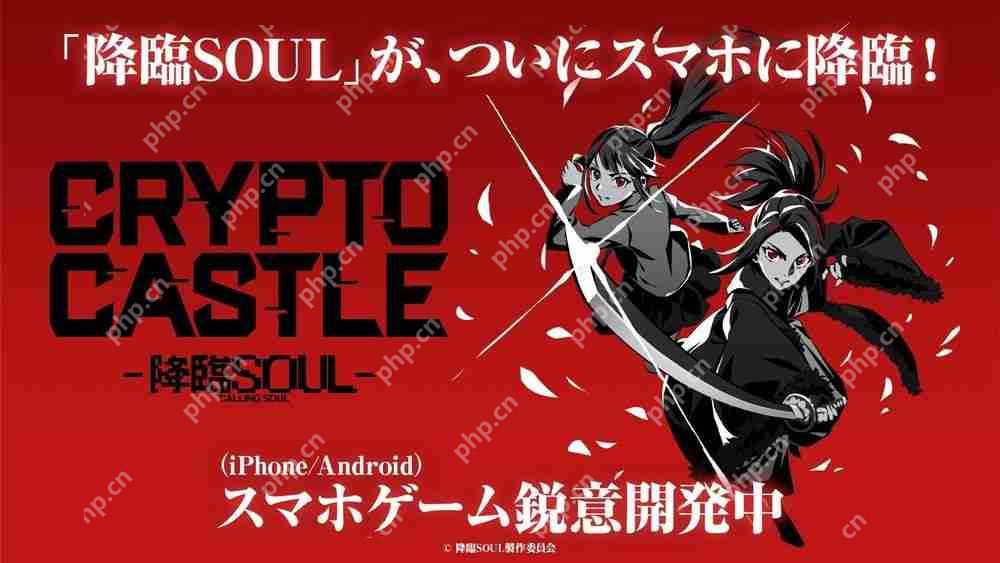 ̨ SOULı࿨ƶսϷCRYPTO CASTLE -SOUL-Ԥ2025