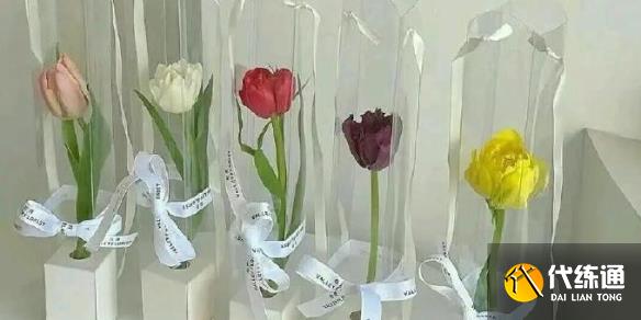 Ӣˡƽһȫ