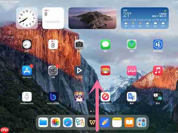 ipadгô