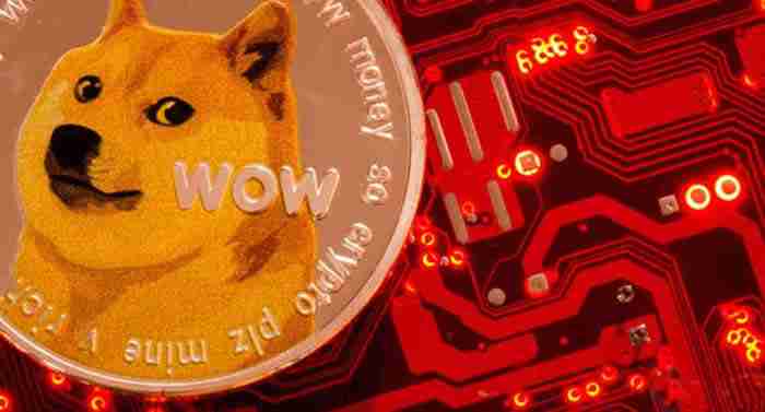DOGE޹ӦֵǱ