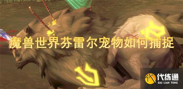 ħ׶β׽γɹȡ׶ϸһ