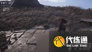 ʮô