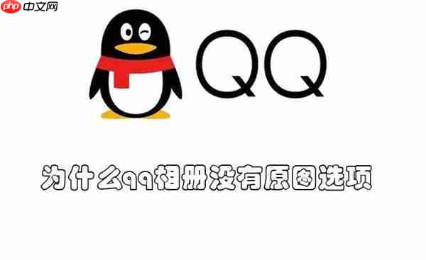 Ϊʲôqqûԭͼѡ