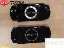 PSP10003000
