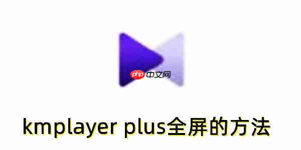 kmplayer plusôȫkmplayer plusȫŵķ