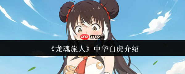 л׻ȫ SSR Ȼսٳֲ