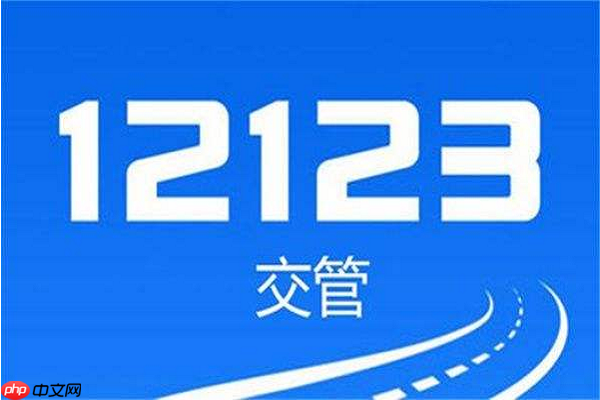 12123β鿴Υ Υ´״̬ѯ