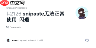Snipasteװʱν