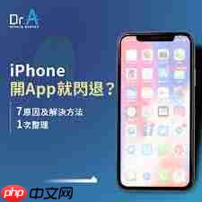 iPhone11ֻAPPƵν