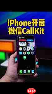 iOS΢CallKitο