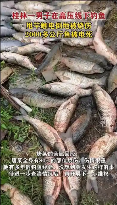 ӵѹȫ80% 4000㱻