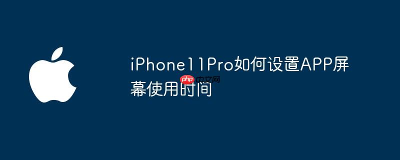 iPhone11ProAPPĻʹʱ