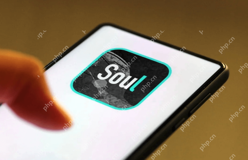 soulôȷһˣsoulȷһ˽̳