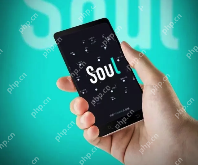 Soul ô˲ޣSoul ˲޲
