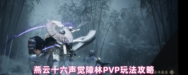 ʮPVP淨