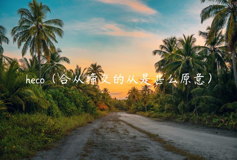 HCOʲôһĶϴӵ޽