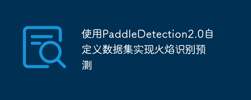 ʹPaddleDetection2.0ԶݼʵֻʶԤ