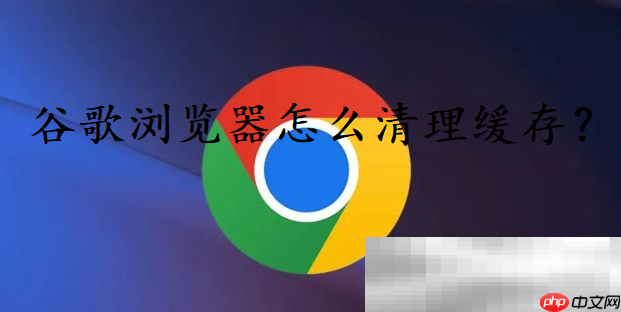 ȸô棿chrome淽