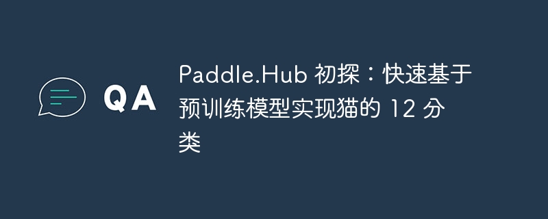 Paddle.Hub ̽ٻԤѵģʵè 12 