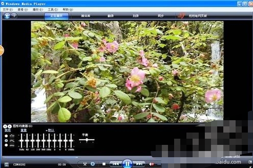 windows media playerβmp4