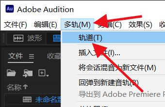 ôɾAuditionչ
