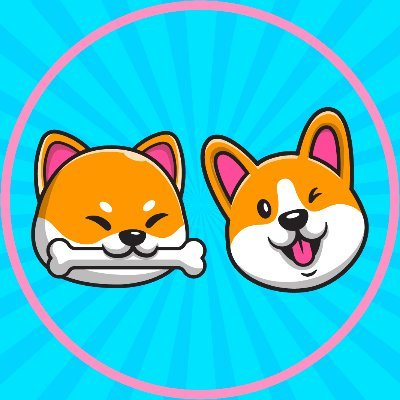 COSHI(CoShi Inu)ʲôʱ򱩵