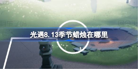 8.13