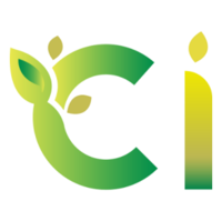 CIC(CI)ʲô˼?