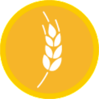 DMTC+(DemeterChain)ʲôʱ?